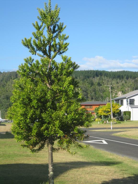 Addsbury House Apartment Whangamata Luaran gambar